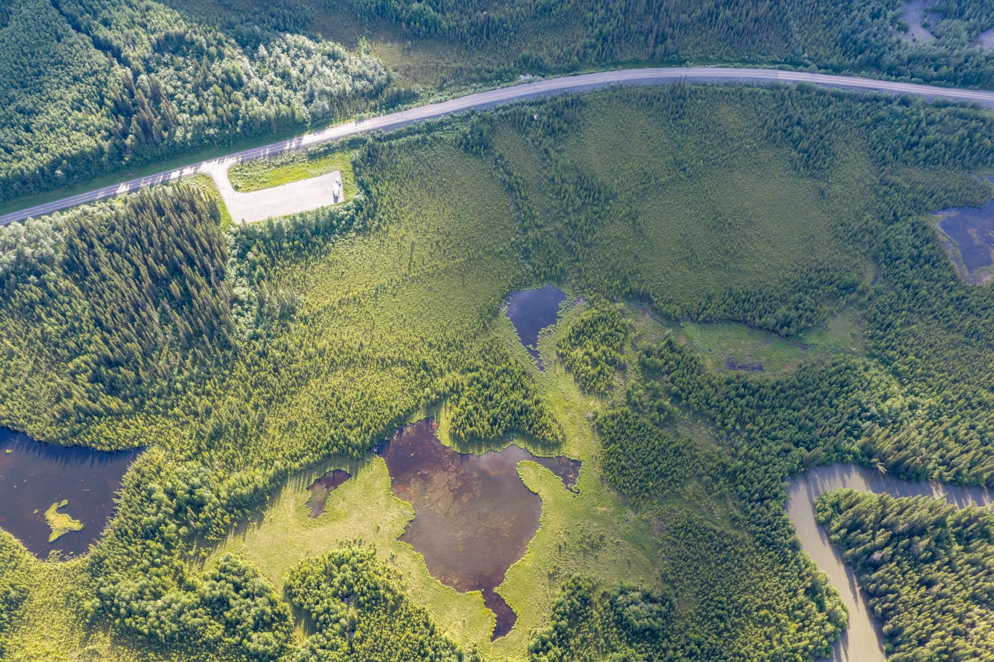 AK Hwy 1 Pull-Off near Mentasta Lake (Past Tok, Alaska)