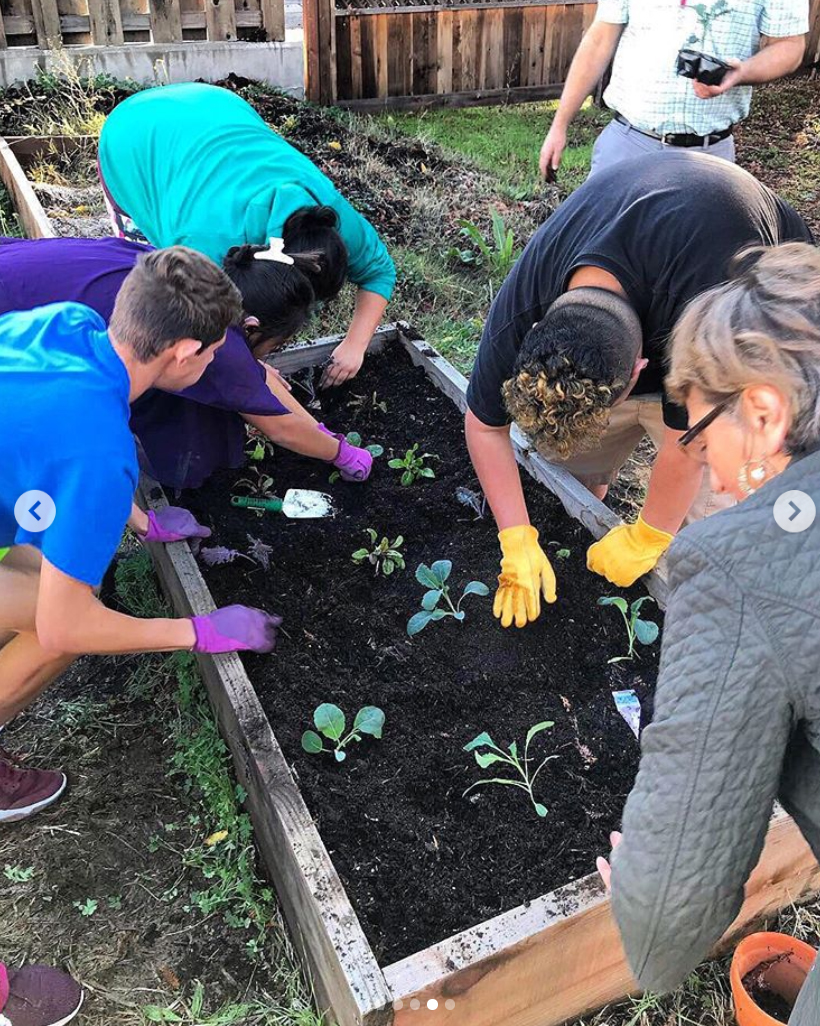 volunteer garden schs.jpg