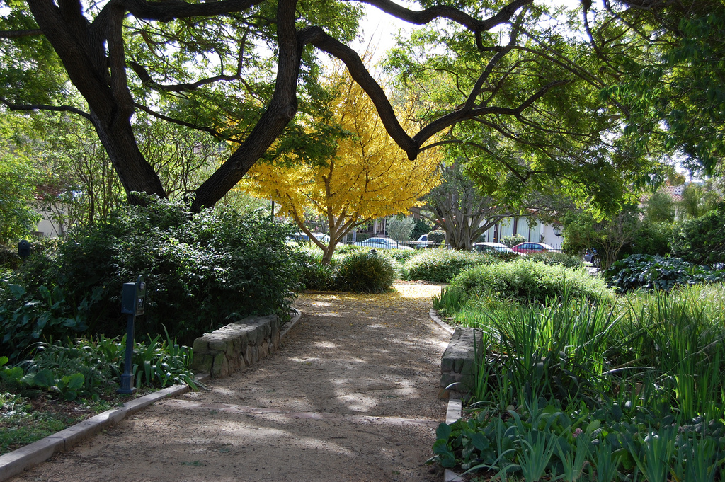 alice keck park