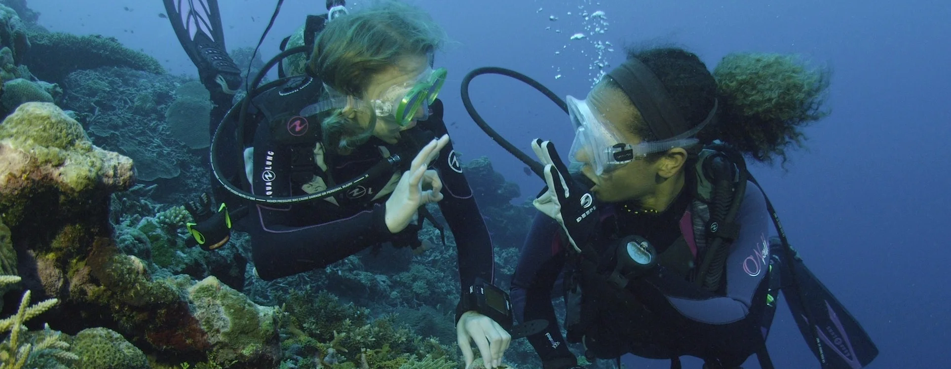 D&C_OK at anemone copy (2).jpg