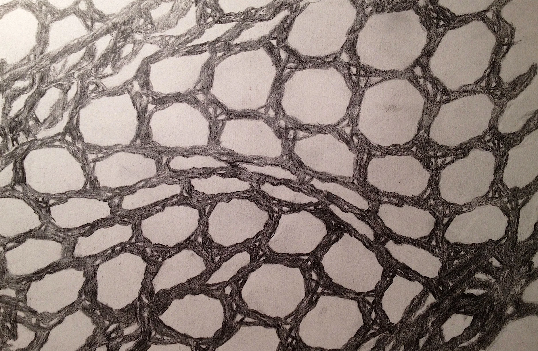 Net
