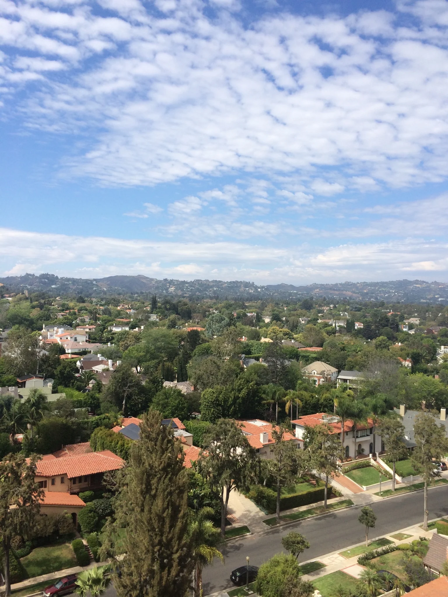 Westwood.JPG