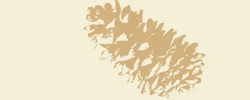 FRF_home_donate.gif