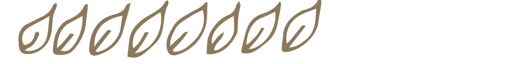 FRF_Forests_StPaul_find-tree.png
