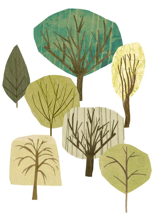Tree illustrations by Julie Benda