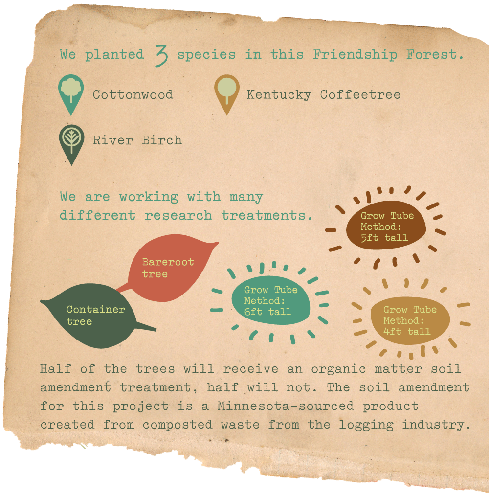 Tree species planted and five variables