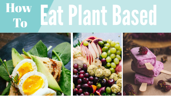 Eat Plant Based Long Term With No Honeymoon Hangover!