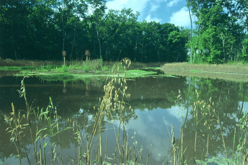 Lake.JPG