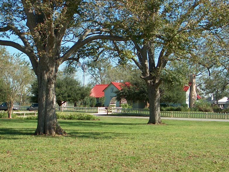 prairie house pecans.JPG