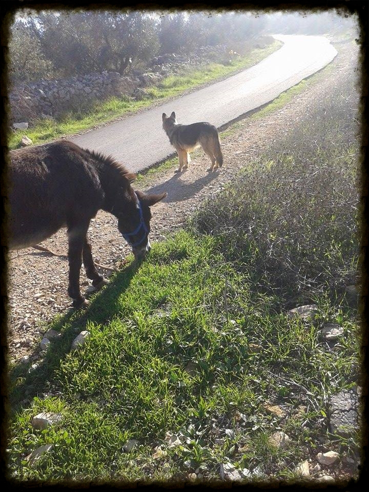 Exploring together