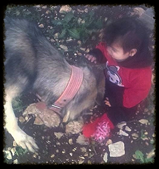Nice Puppy