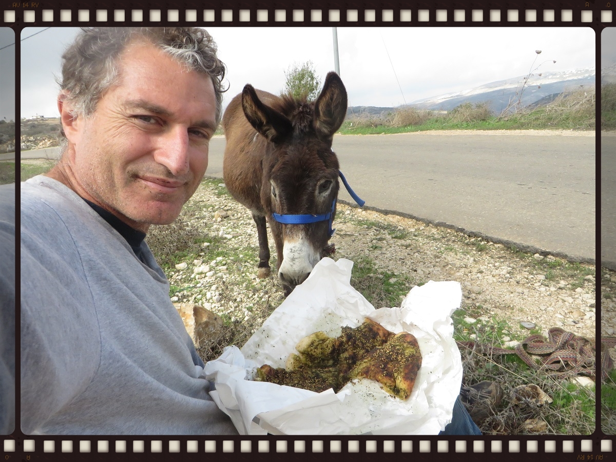 PICNIC WITH HOUDINI