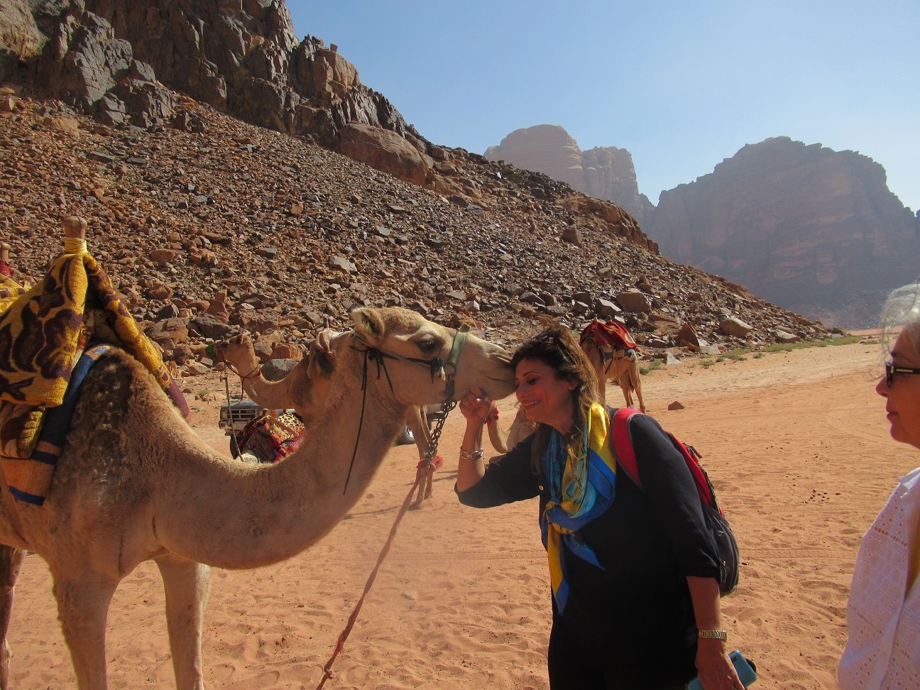 camel kisses.jpg