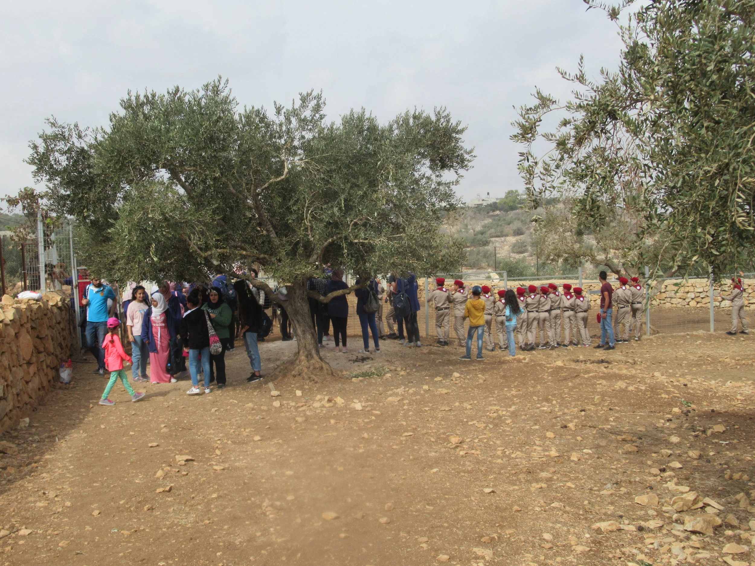 Everyone waiting for the chance to pet a dog or donkey