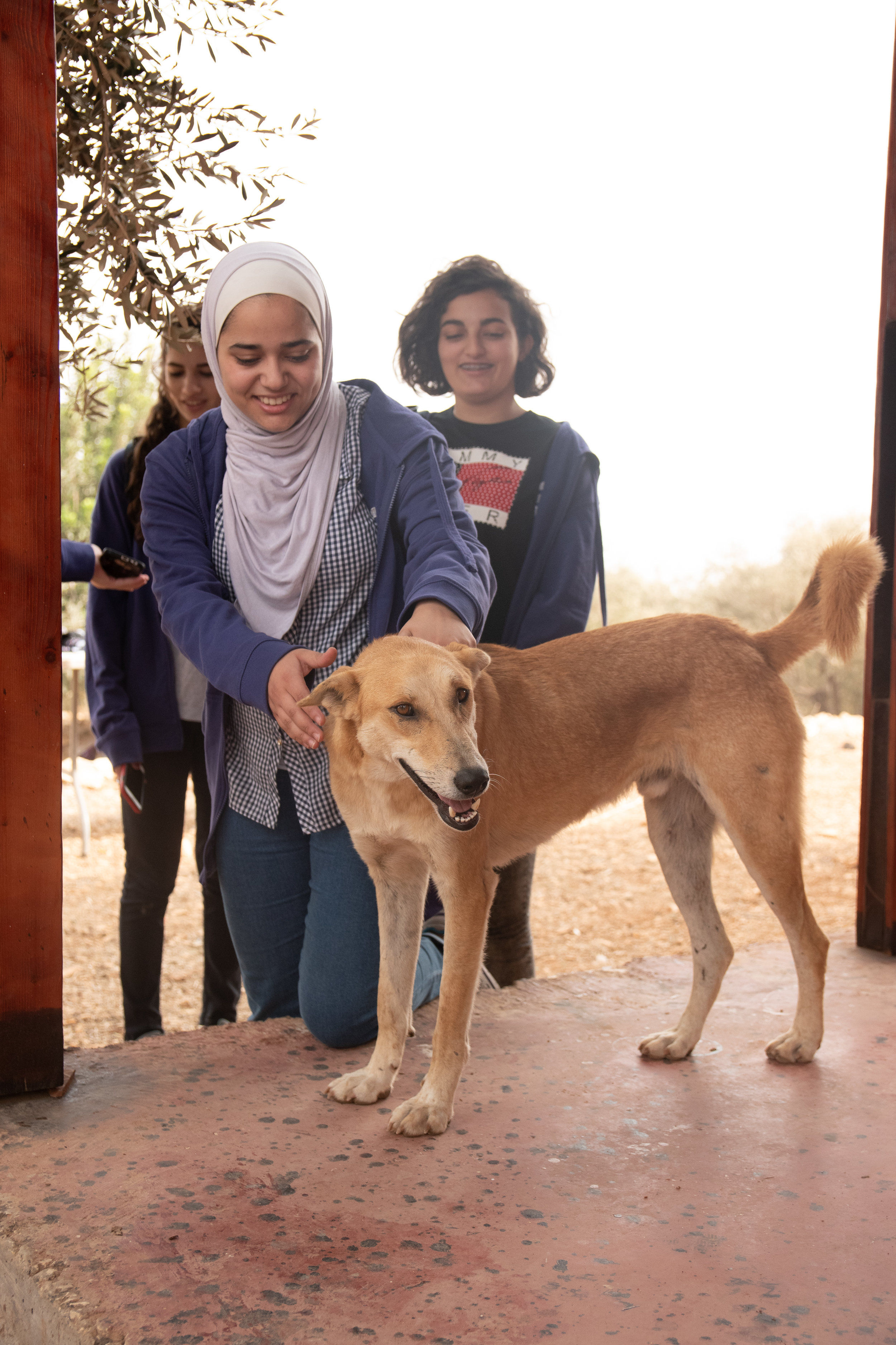 This girl had never touched a dog before so Wallad tried to be as unintimidating as possible