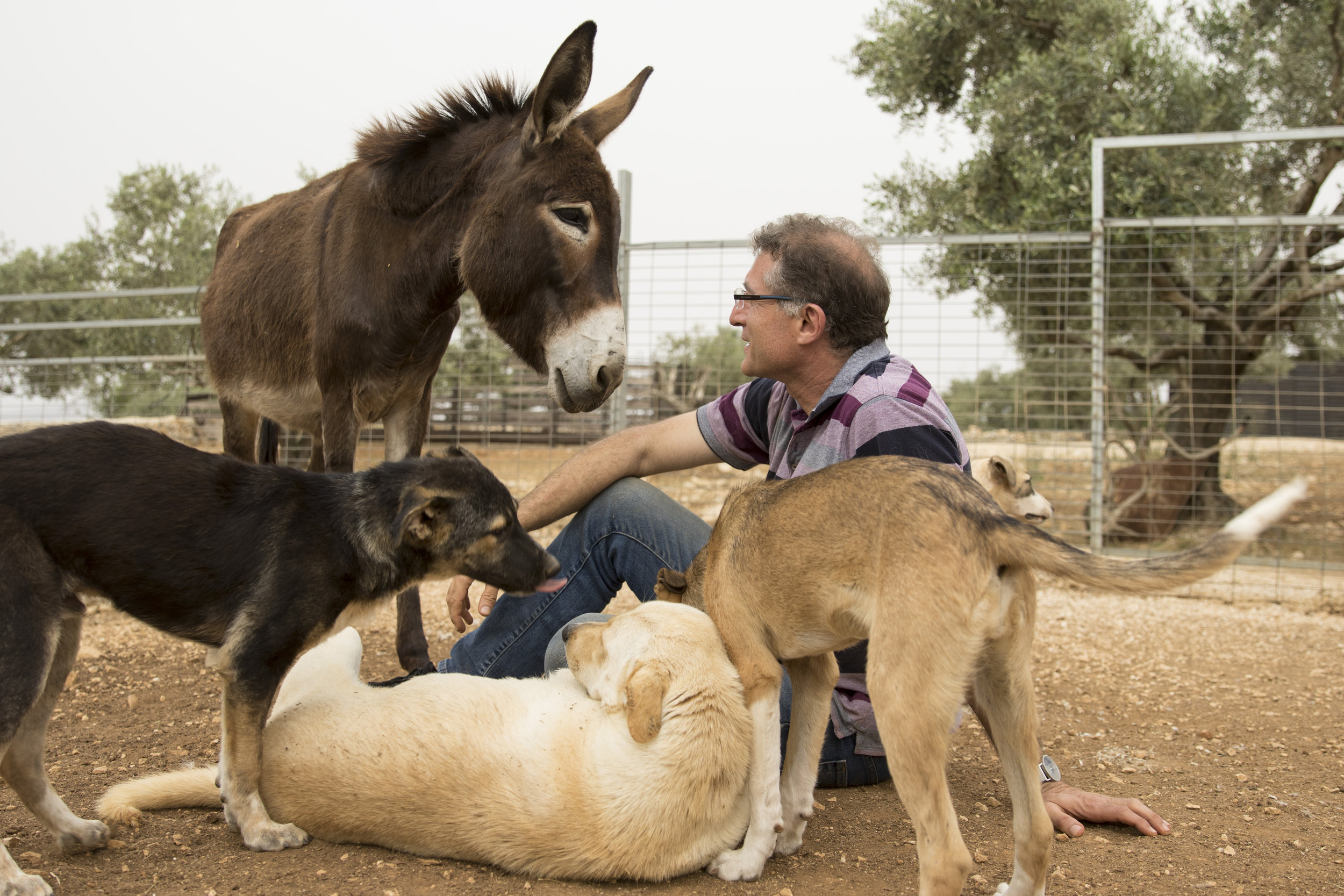 A family doesn't have to be the same race, religion or even species