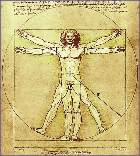 Vitruvian Man.jpg