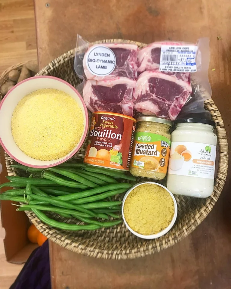 lamb before.jpg