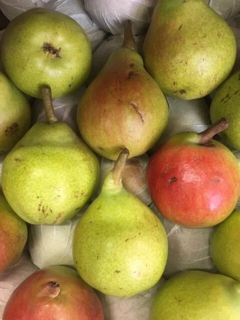 pears.JPG