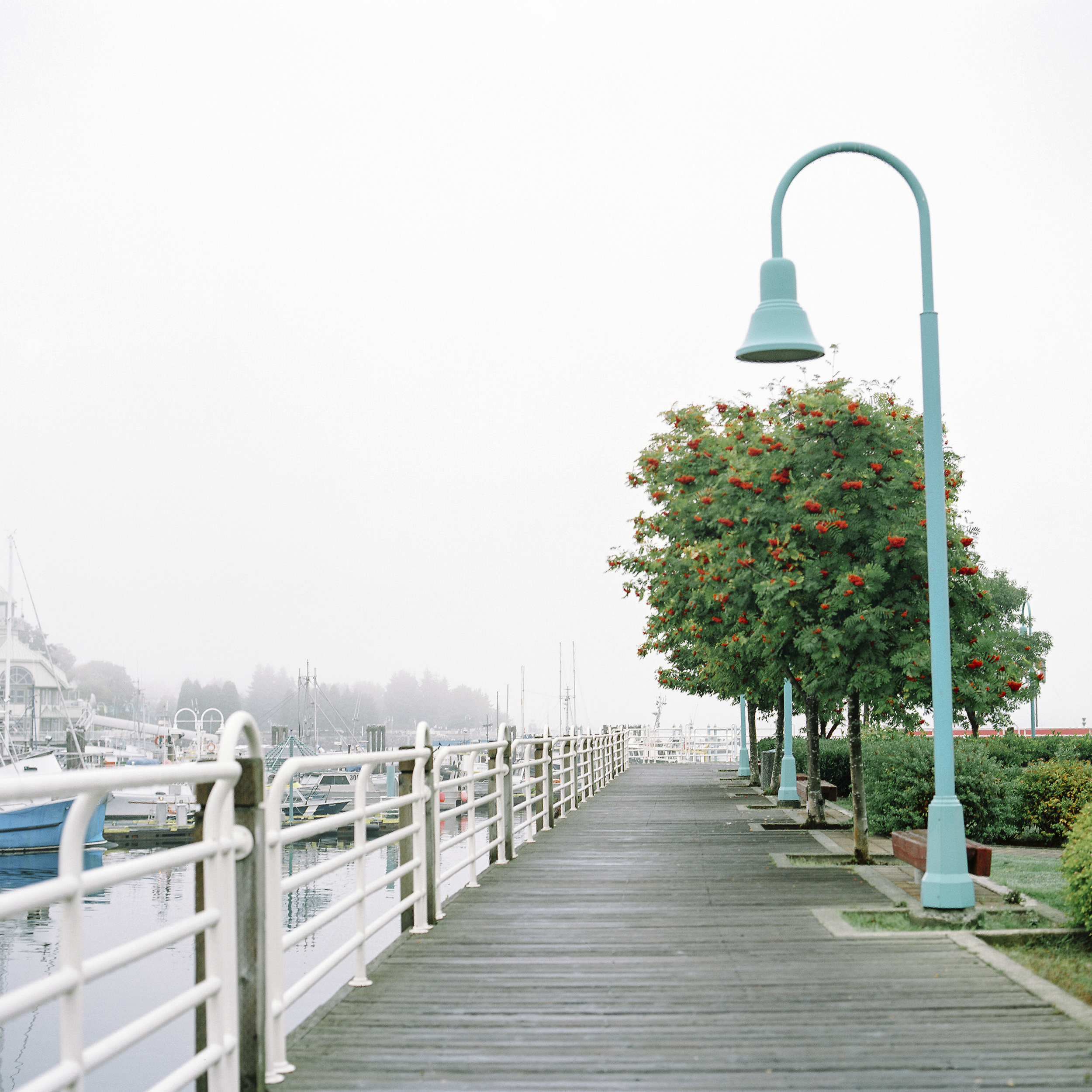 nanaimo.jpg