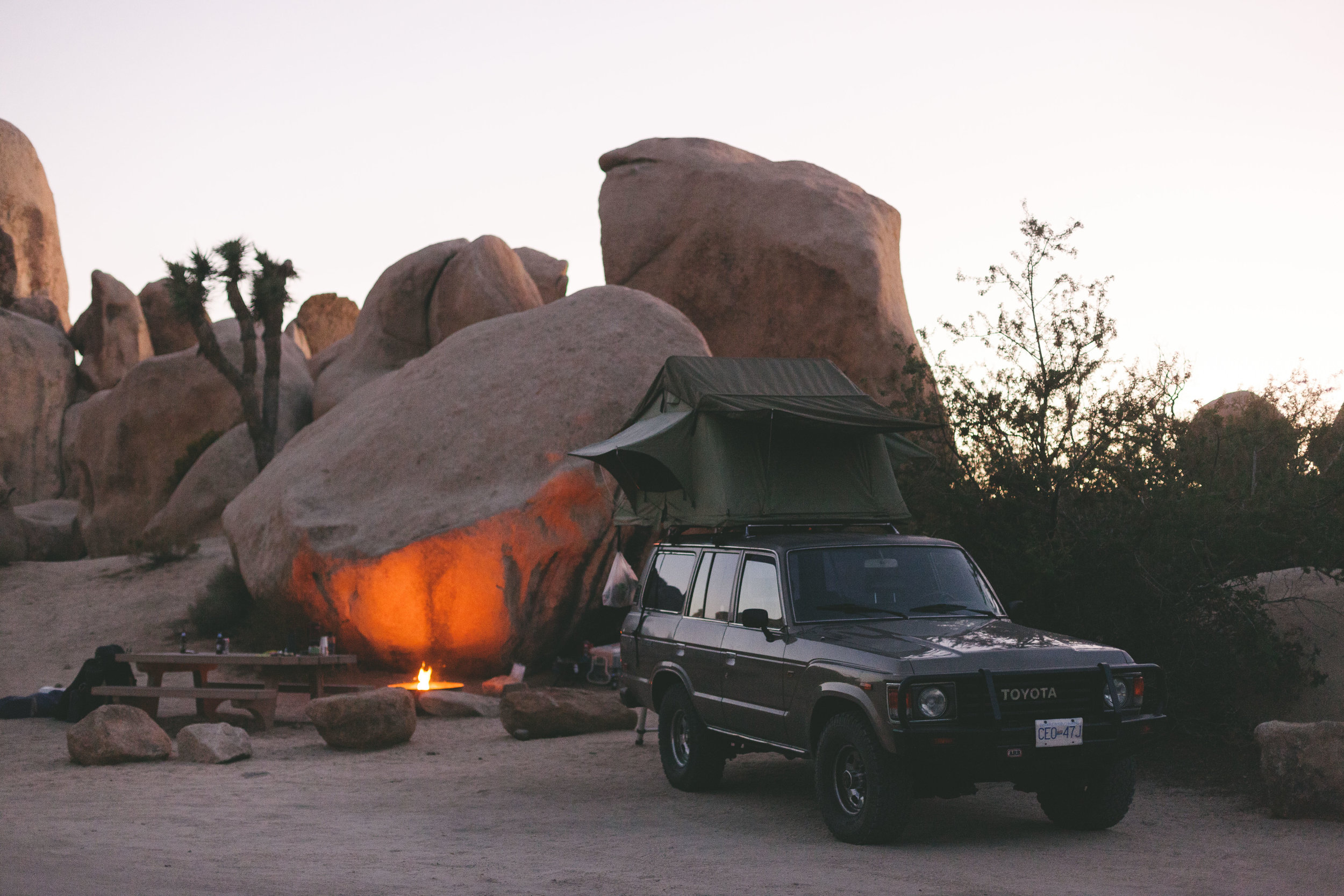 Our camp spot in Joshua Tree