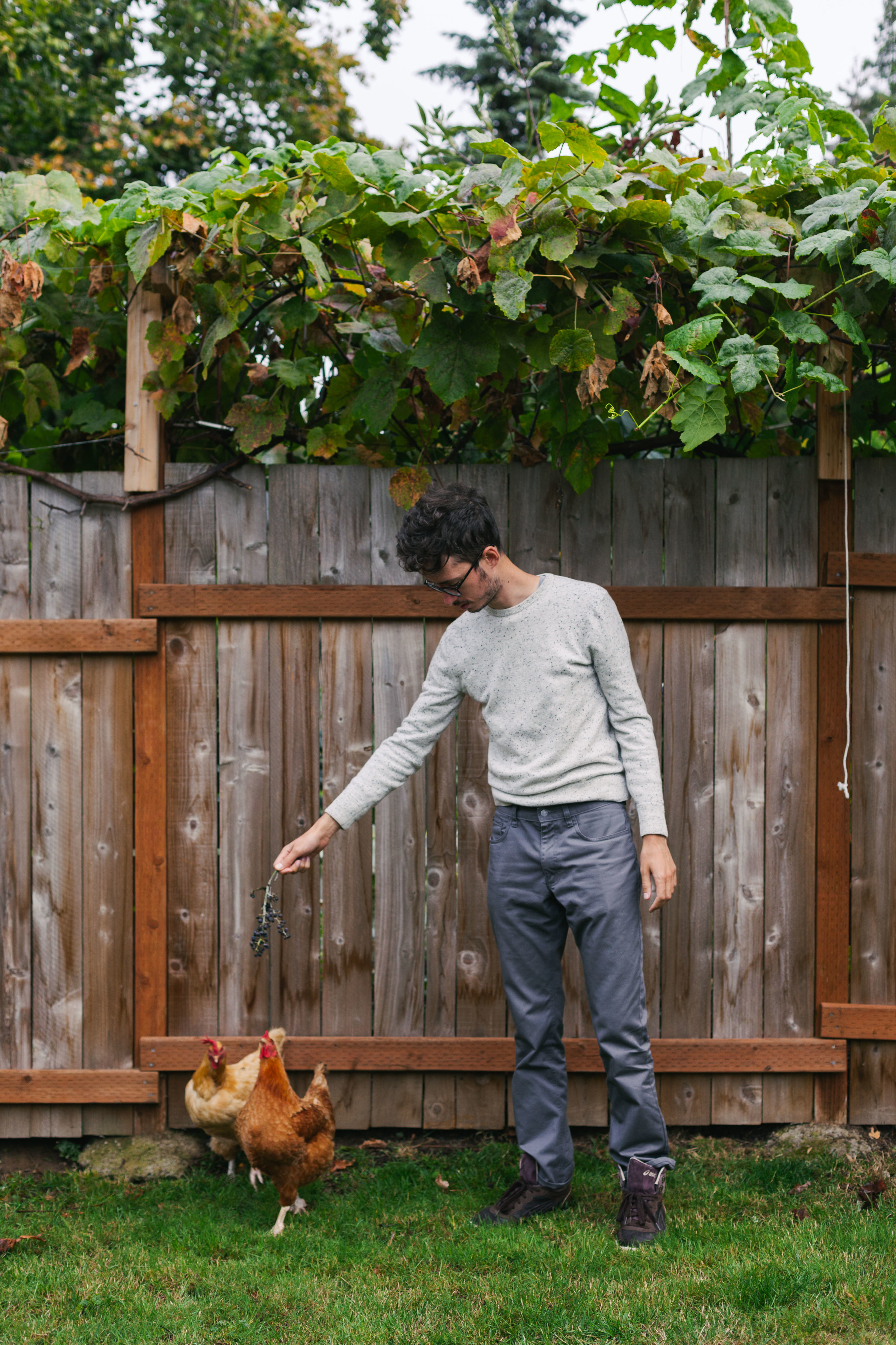 Octave feeding his chickens
