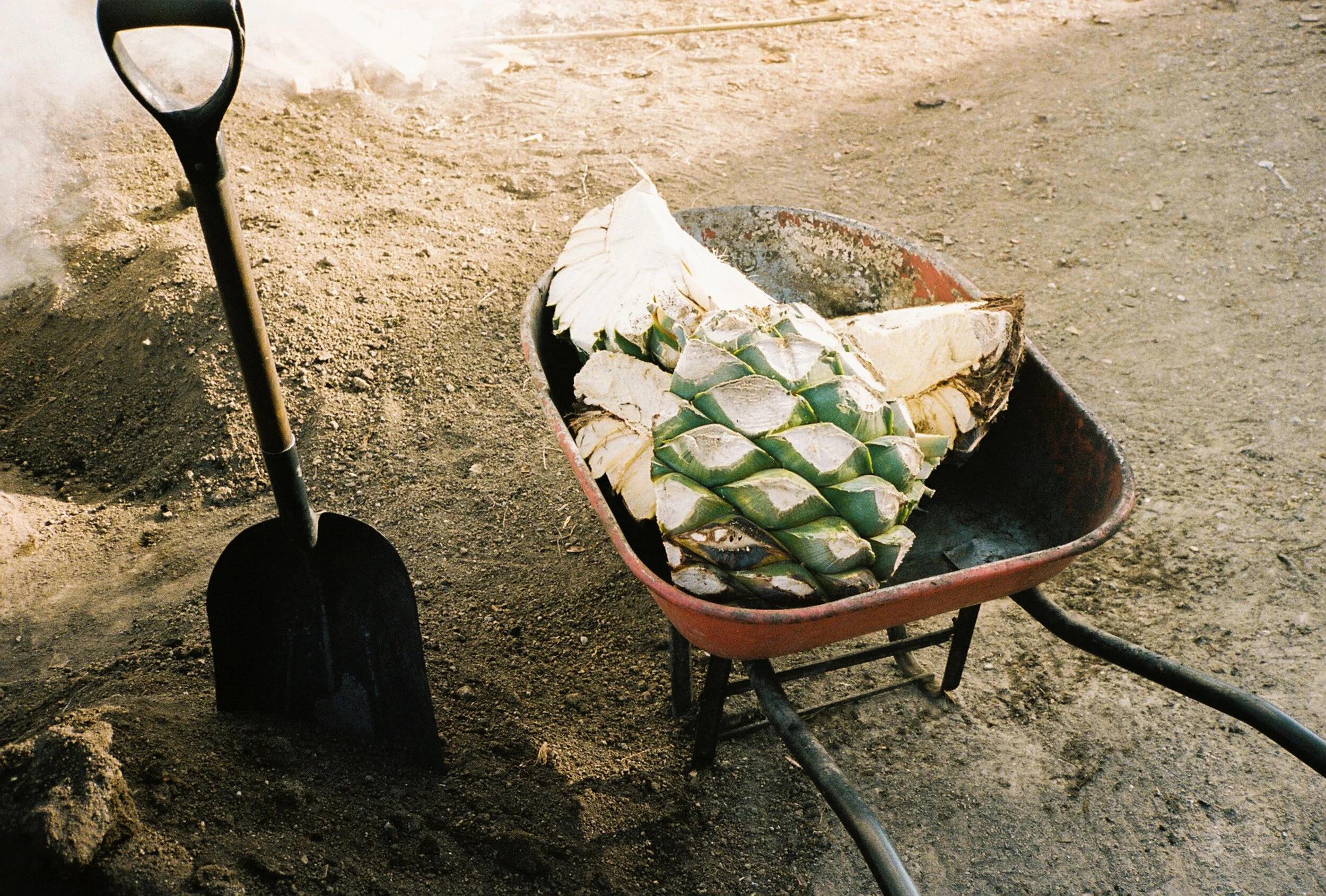 The art of making mezcal