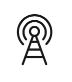 LIVE STREAM