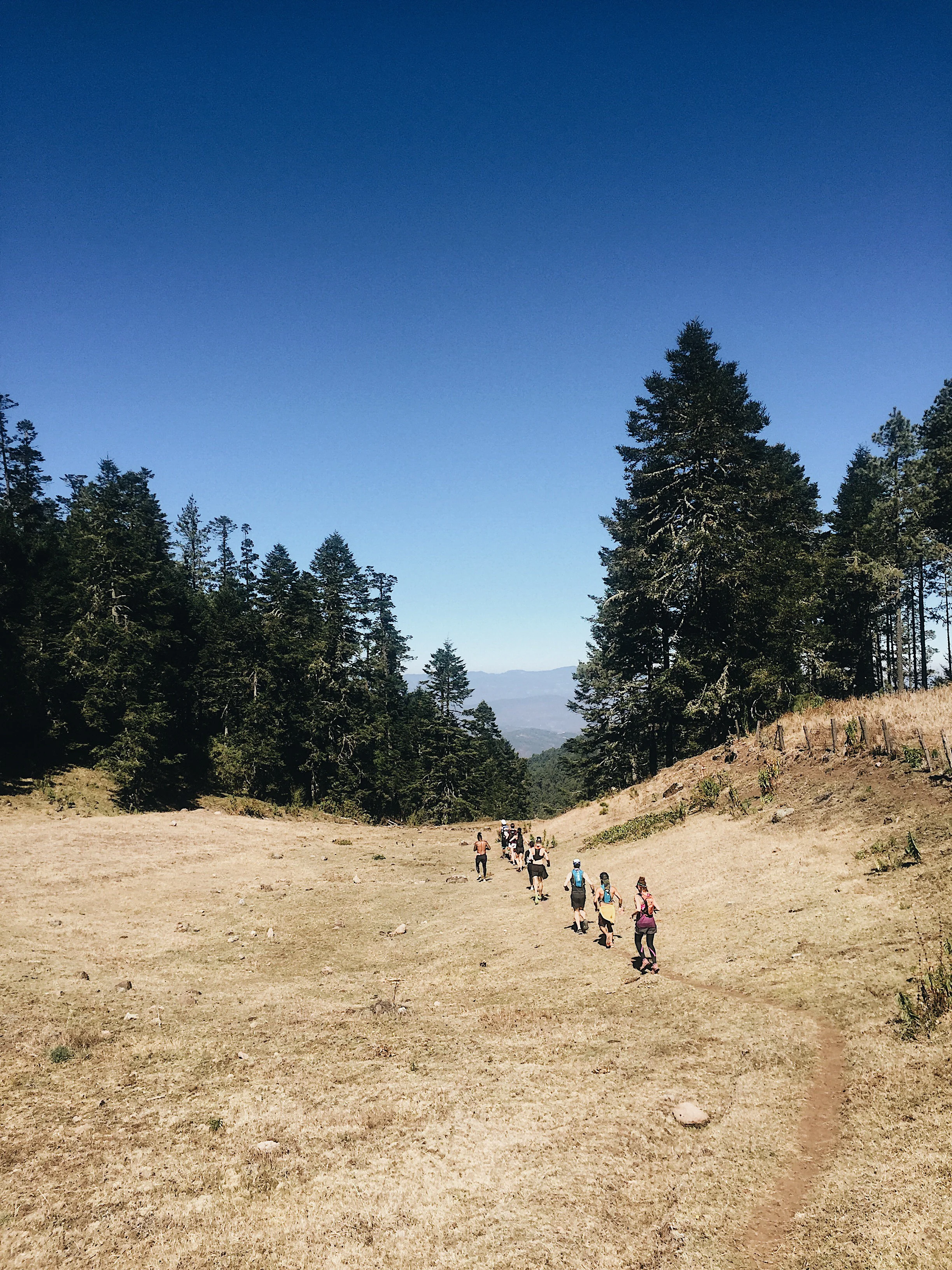 02-CrewRun-Credit-dklinckwort.jpg