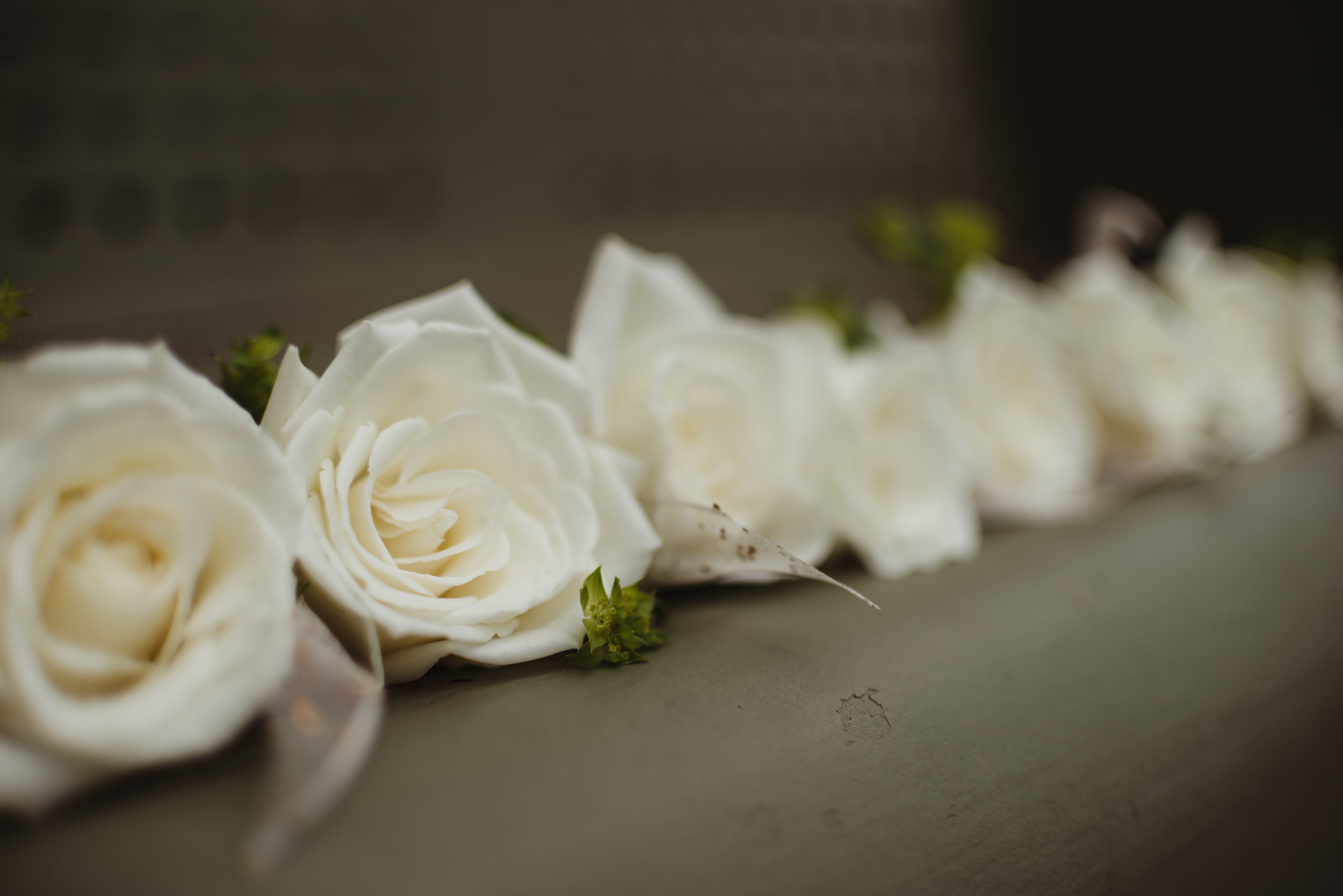 DSC_5160.jpg
