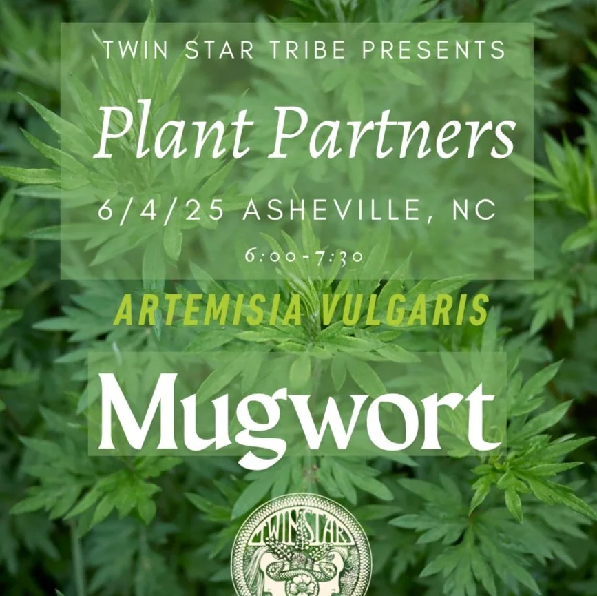 Plant Partner: Mugwort