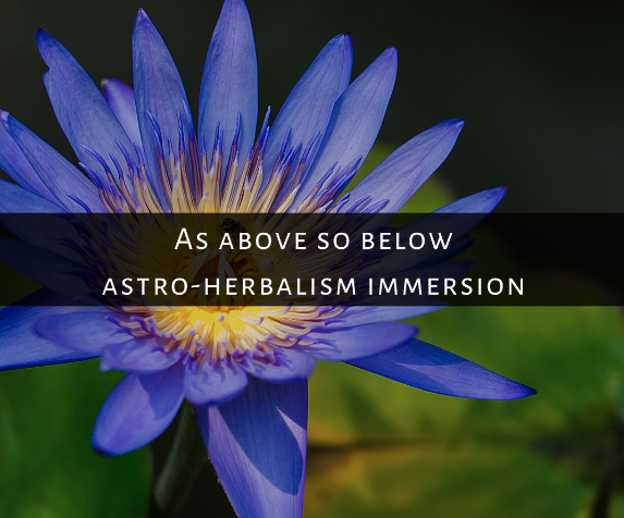 As above so below: astro-herbalism online immersion