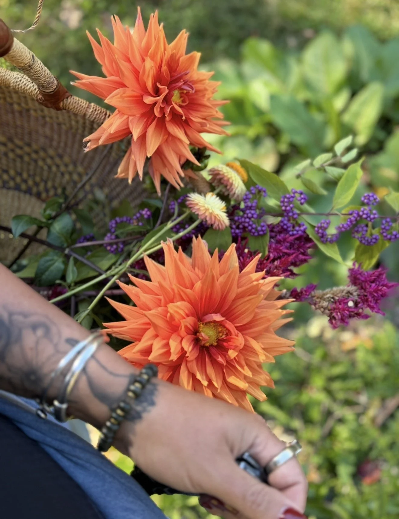 THE WILD FORAGED APOTHECARY (Autumn)