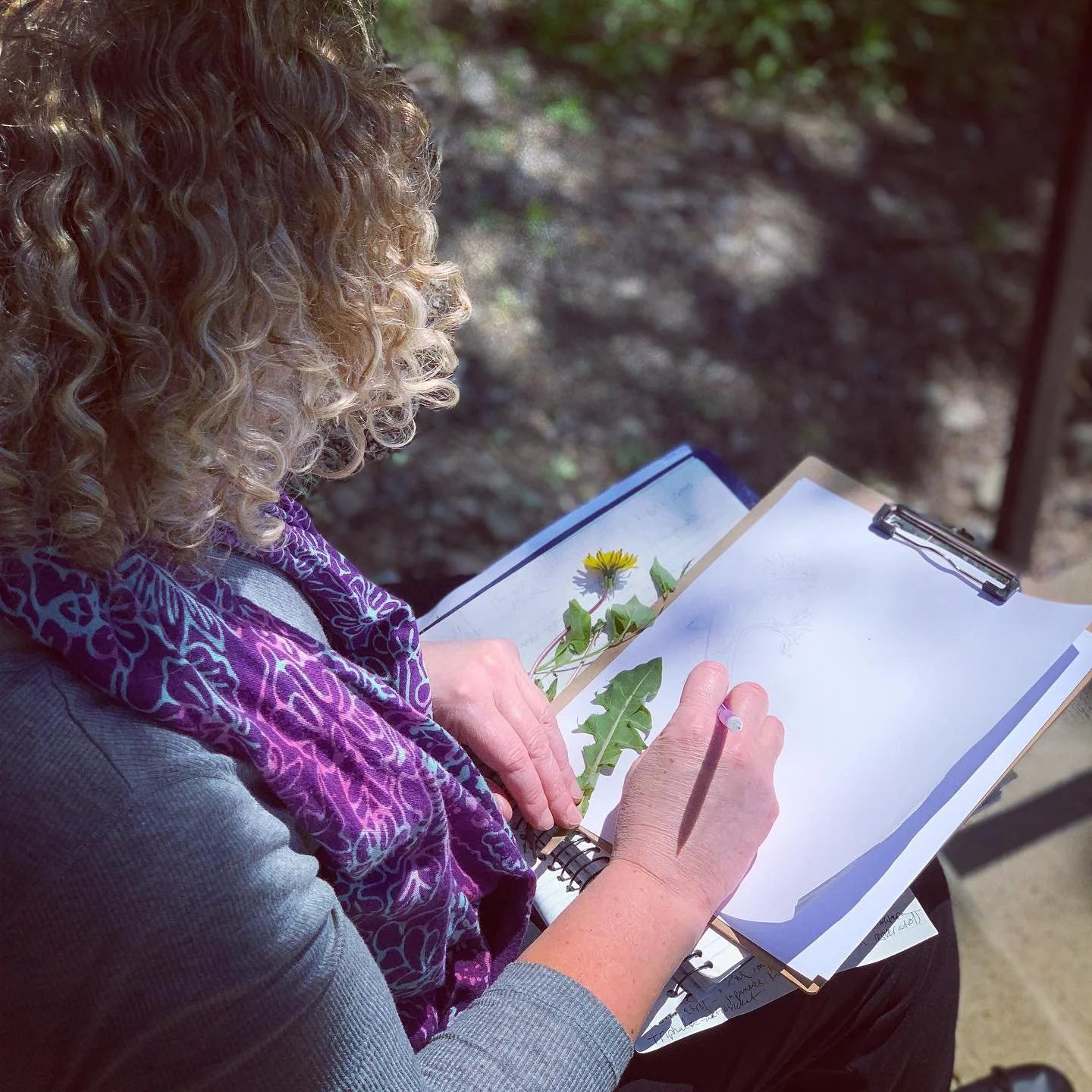 THE Vessel &amp; The Voice - The ART OF TEACHING HERBAL MEDICINE 