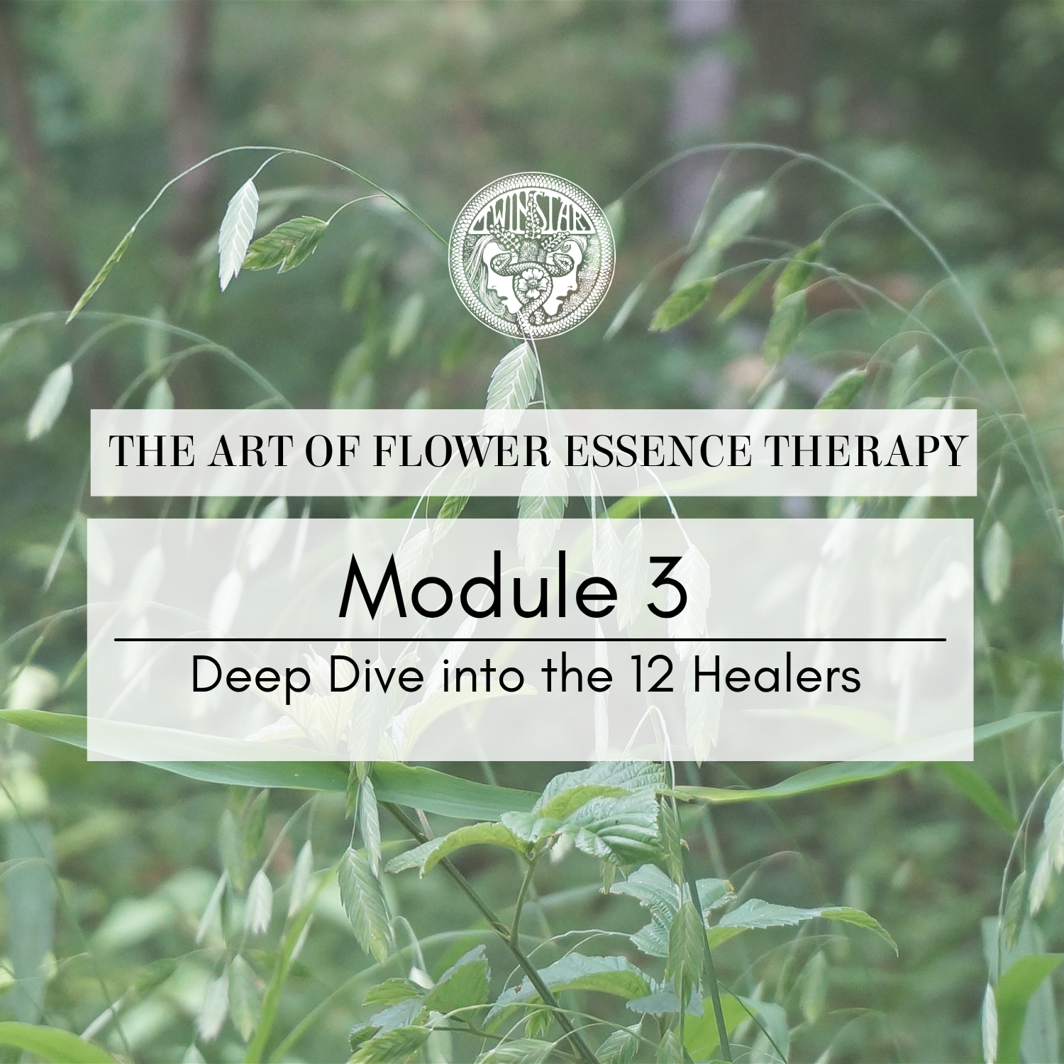 Mod 3, 12 Healers.png