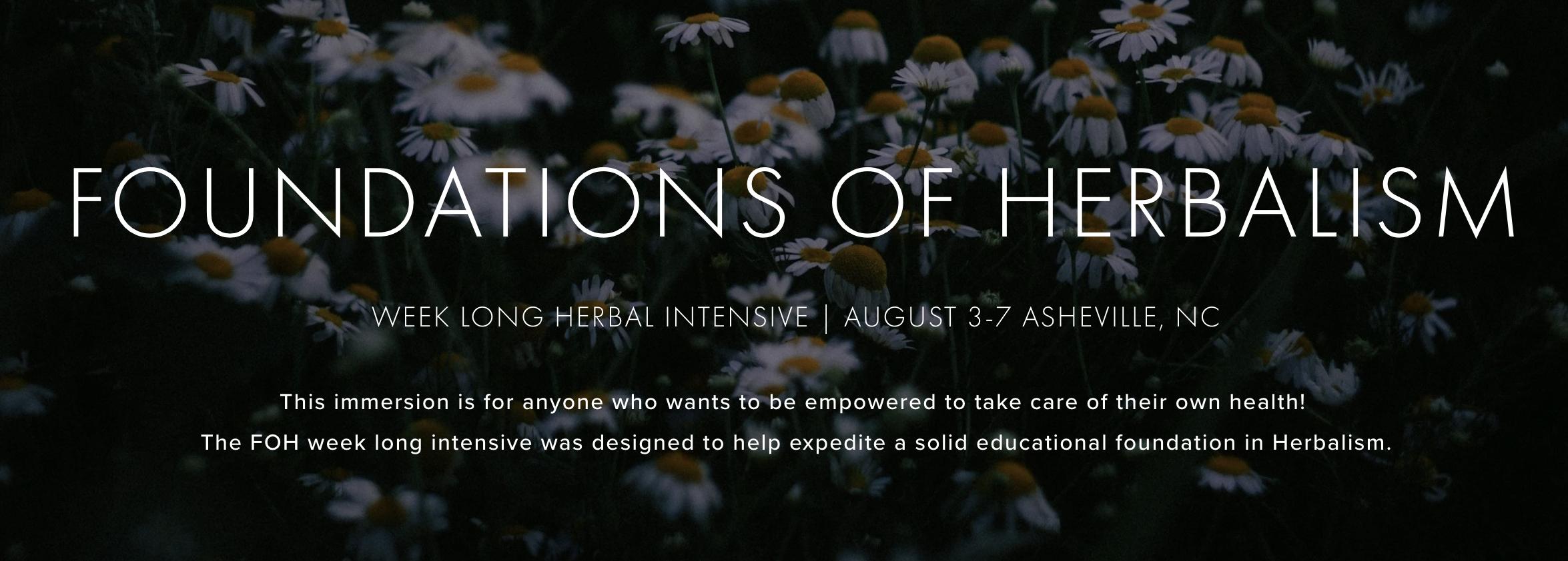 Screenshot 2026-02-10 at 2.19.13 pm.png