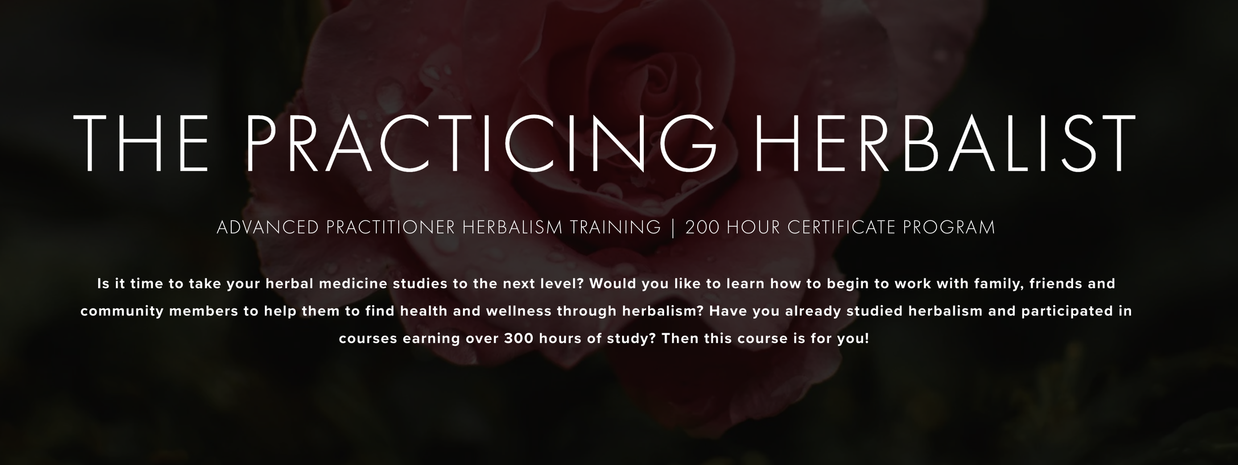 Screenshot 2025-11-10 at 1.04.54 pm.png