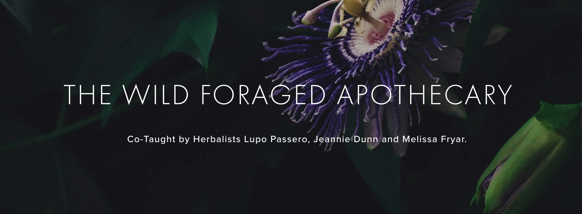 Screenshot 2026-04-01 at 6.54.02 am.png (Copy)