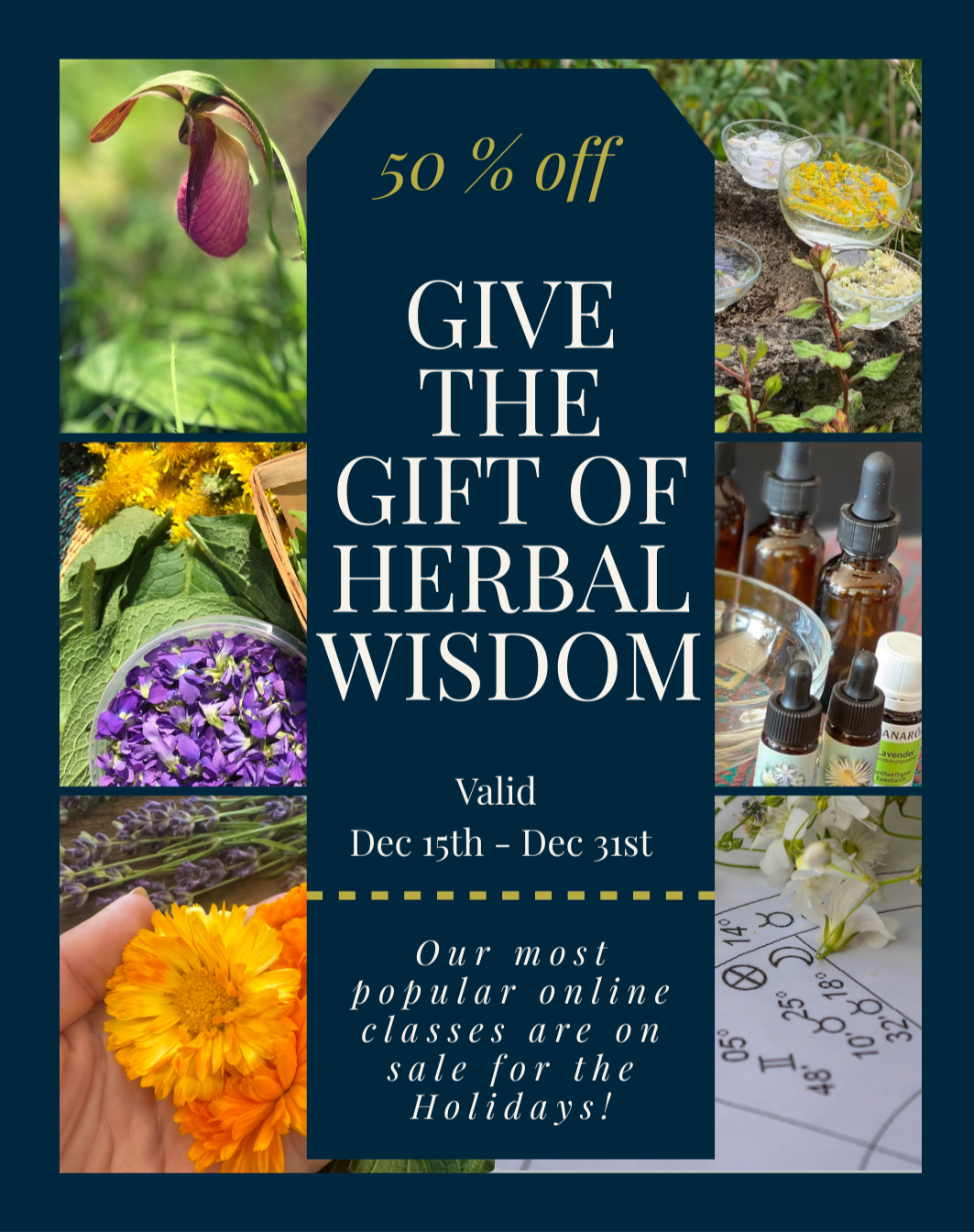 End of Year Sale - Save 50% of our Most Popular Online Courses 