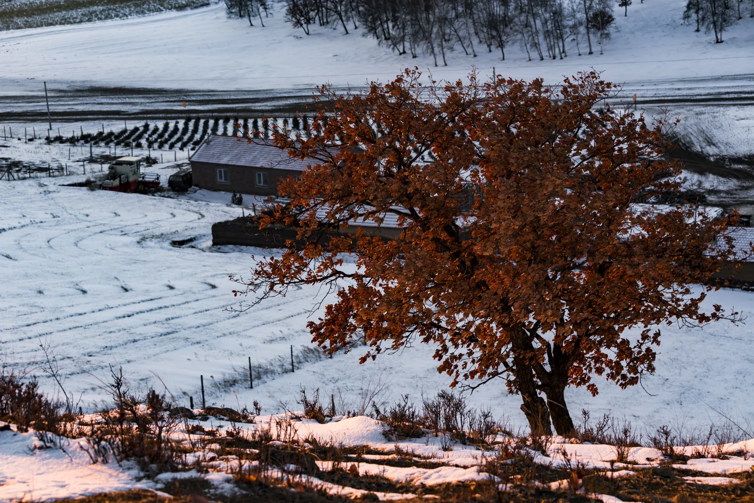 5D3_-9984.jpg