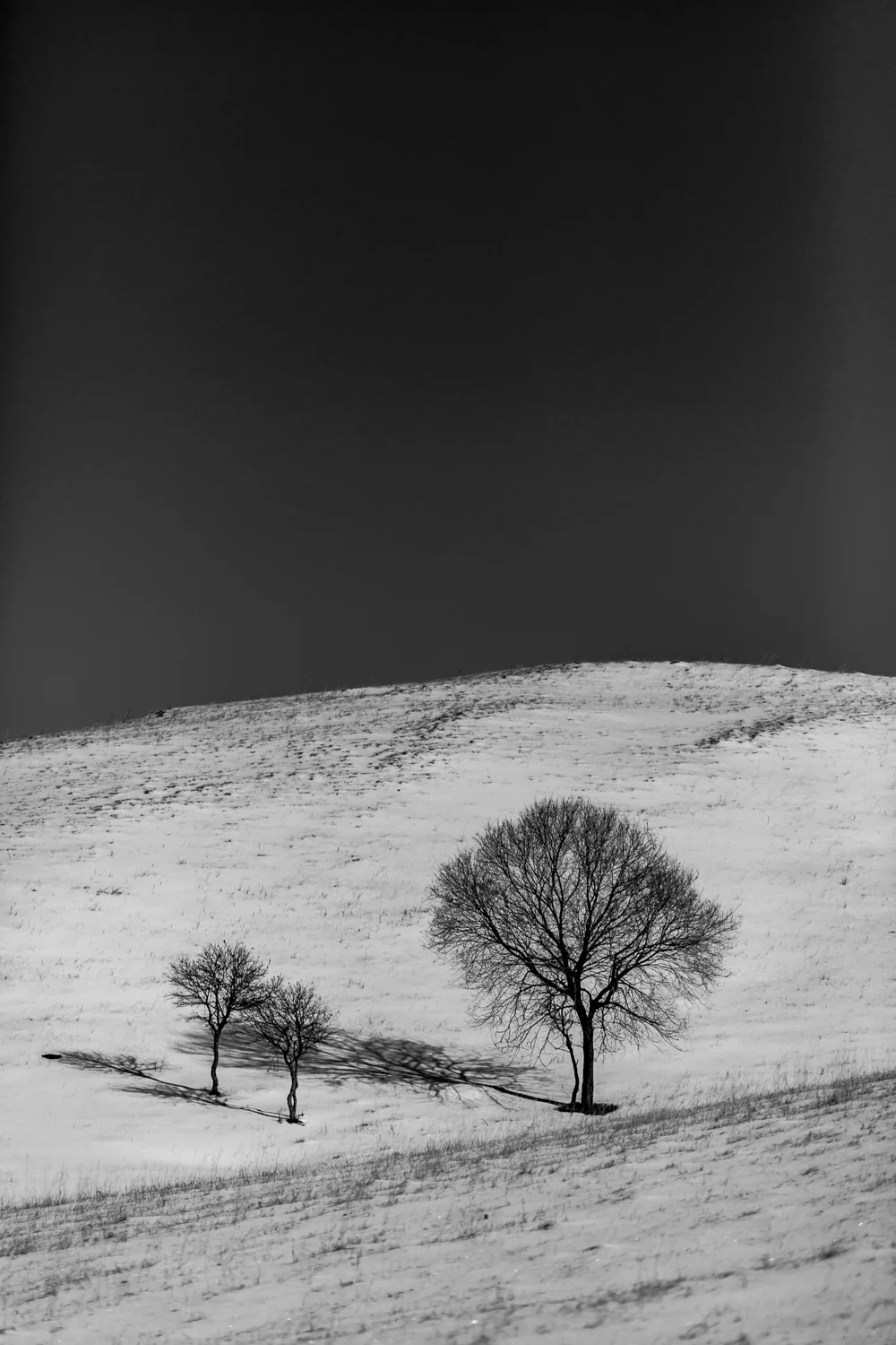 5D3_-0016.jpg