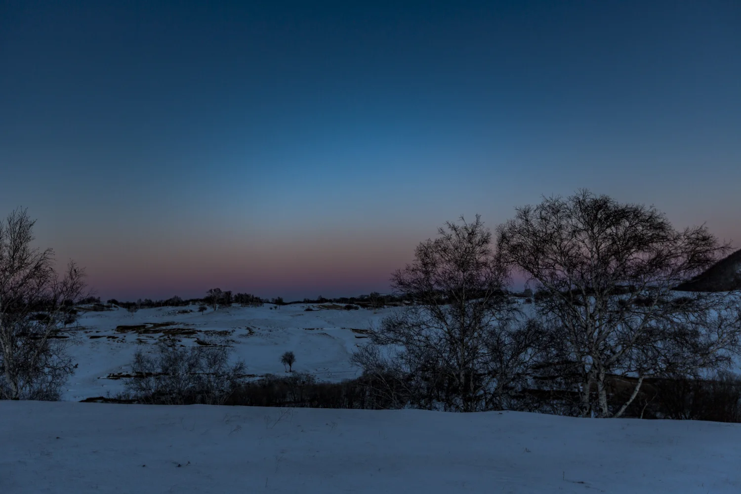 5D3_-0040.jpg