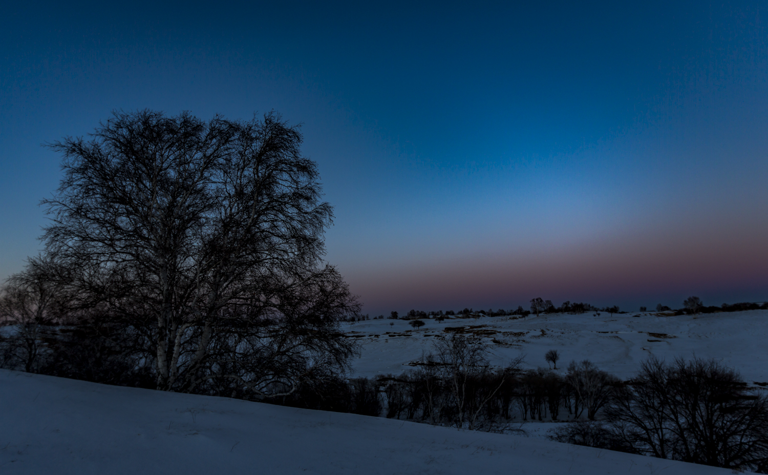 5D3_-0046.jpg