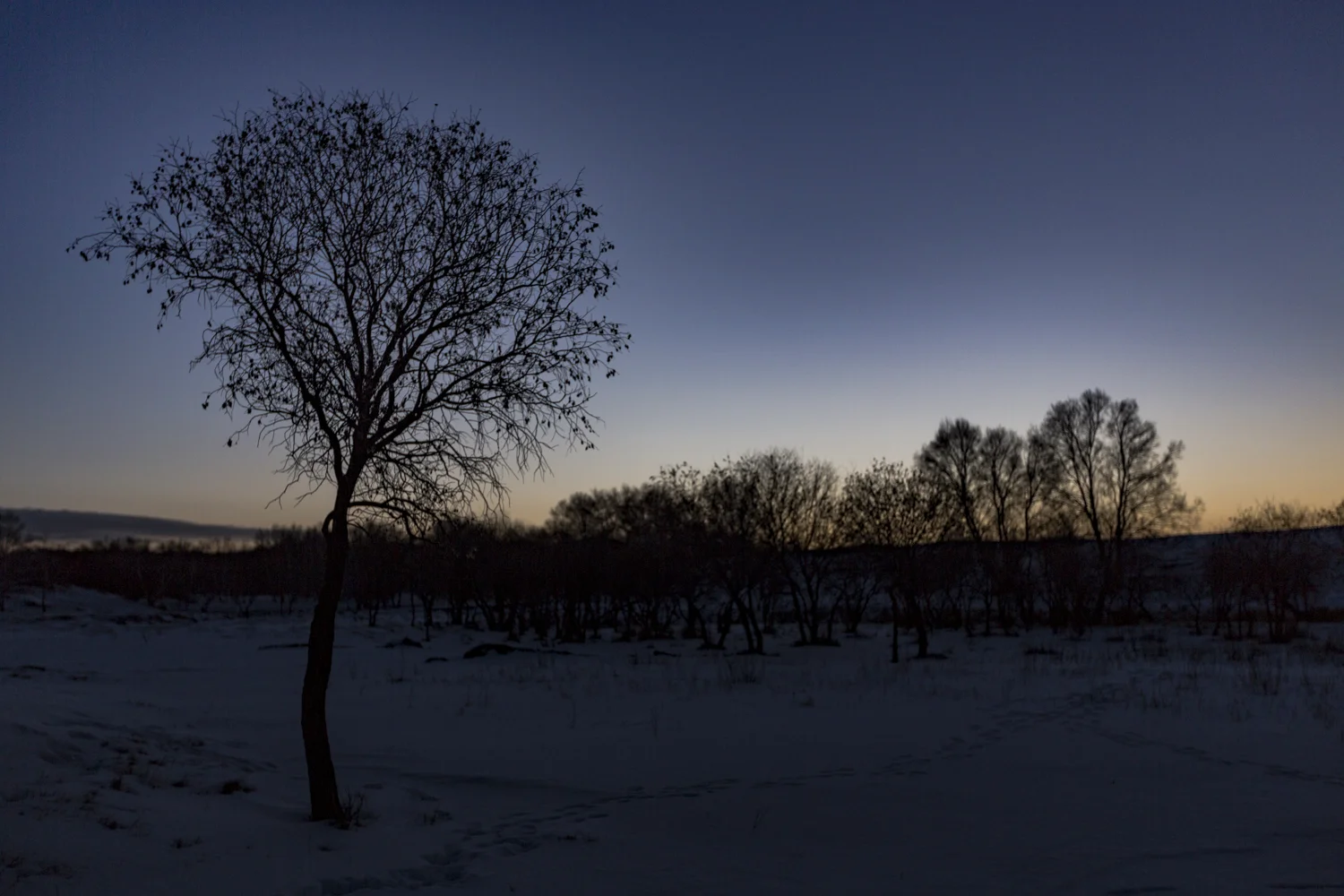 5D3_-0307.jpg