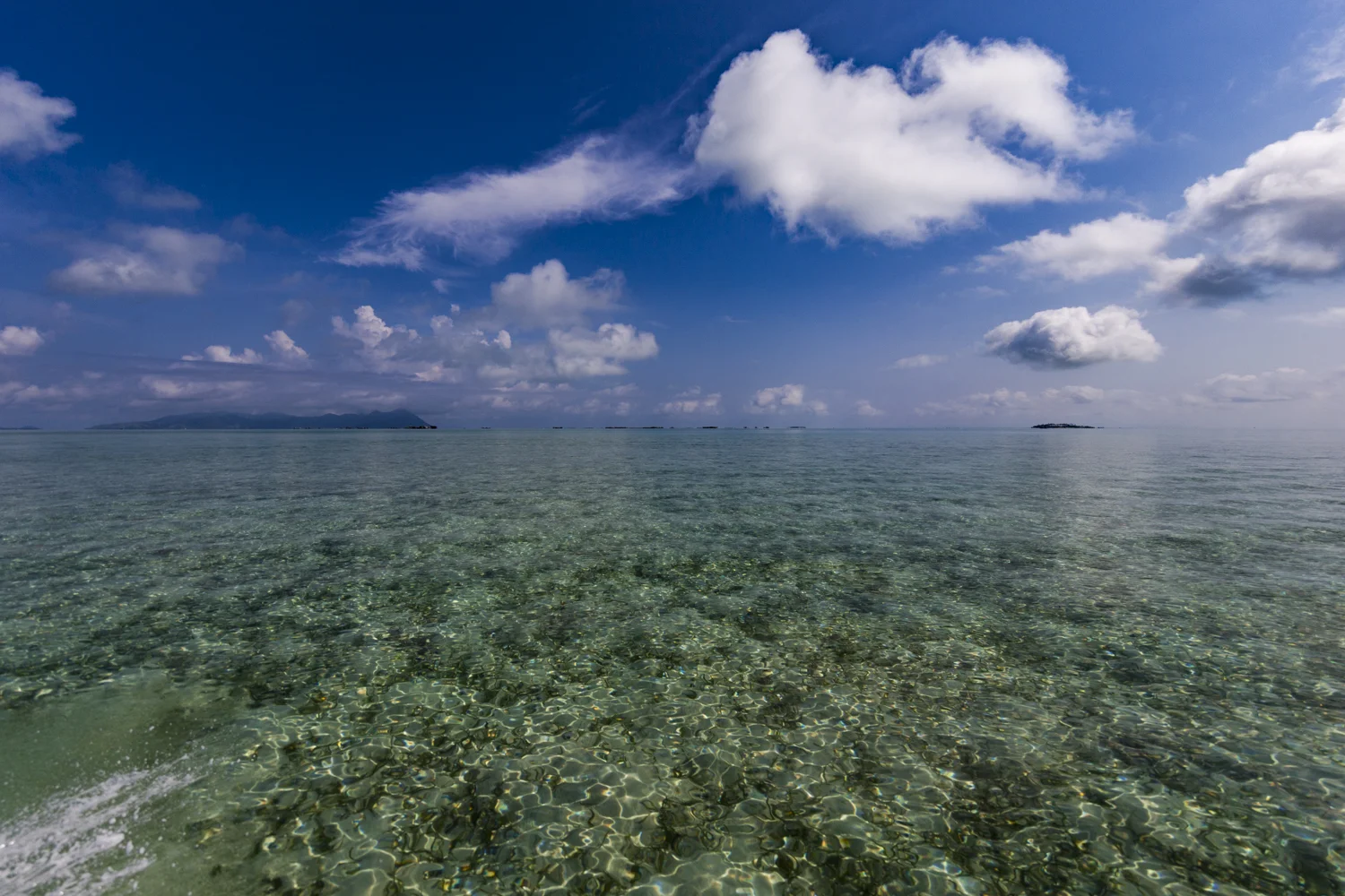 _DX_0786.jpg