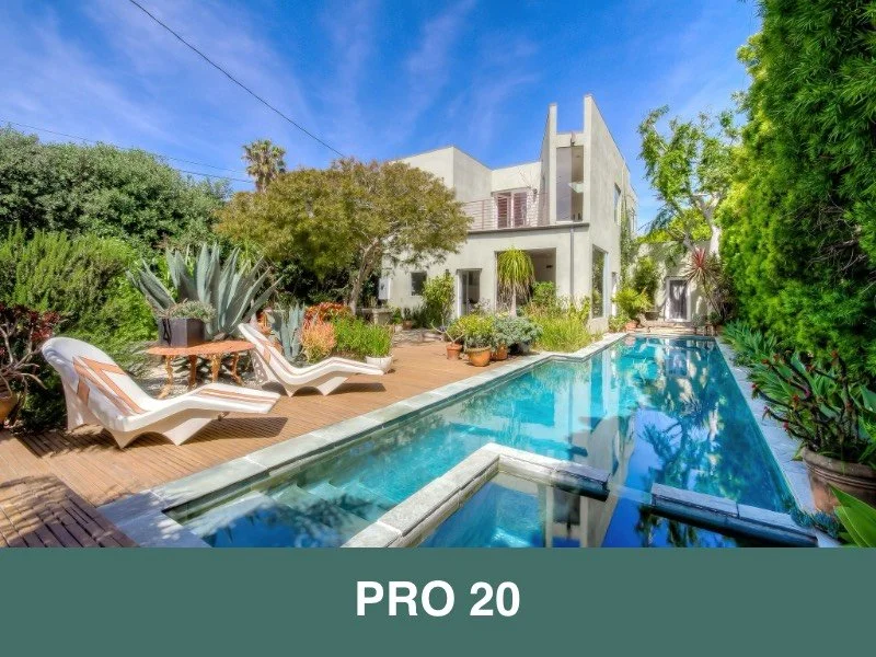 Pro 20