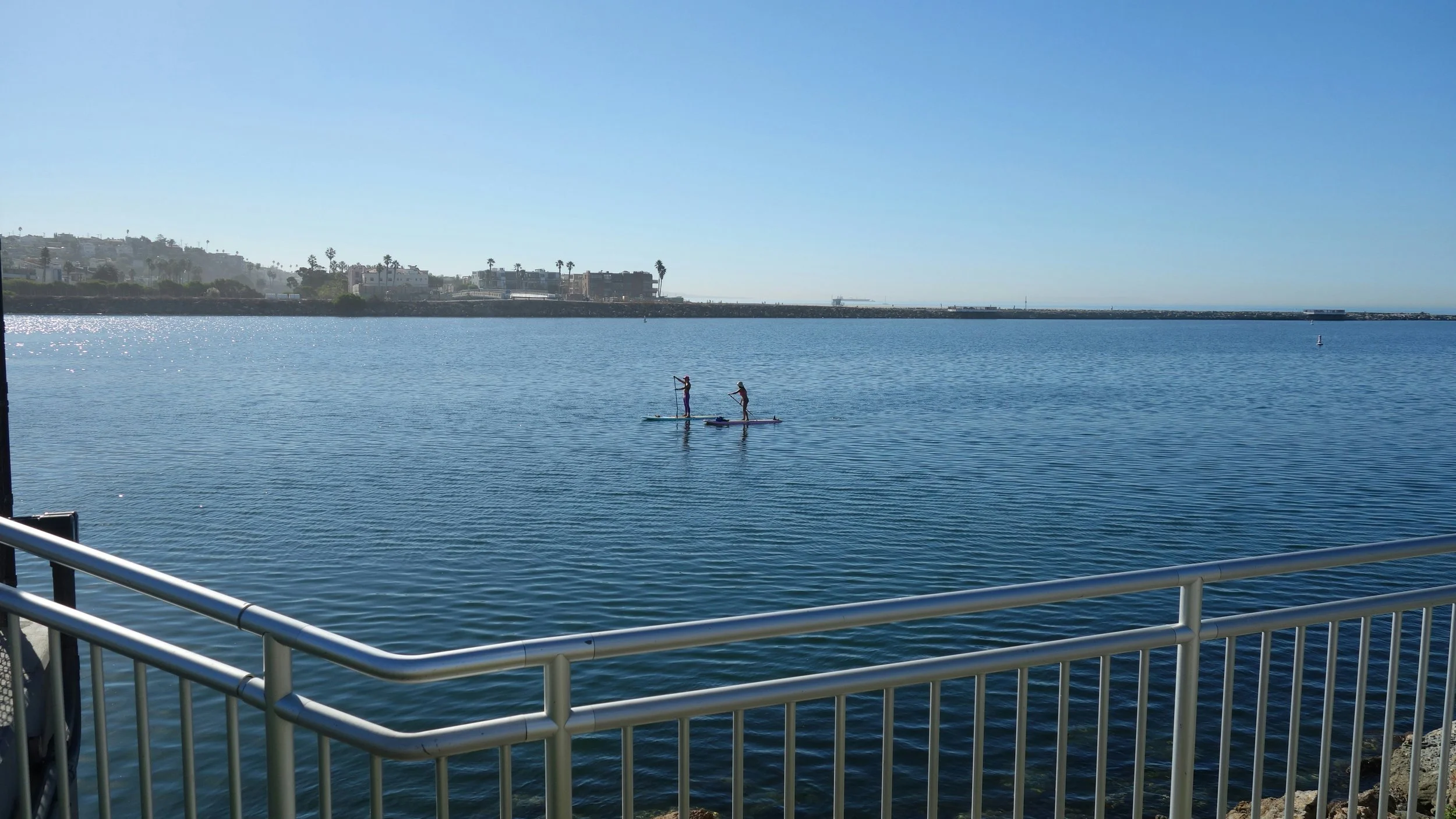 Playa del Rey Paddleboarders