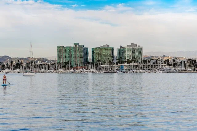 Marina Del Rey Paddleboarder
