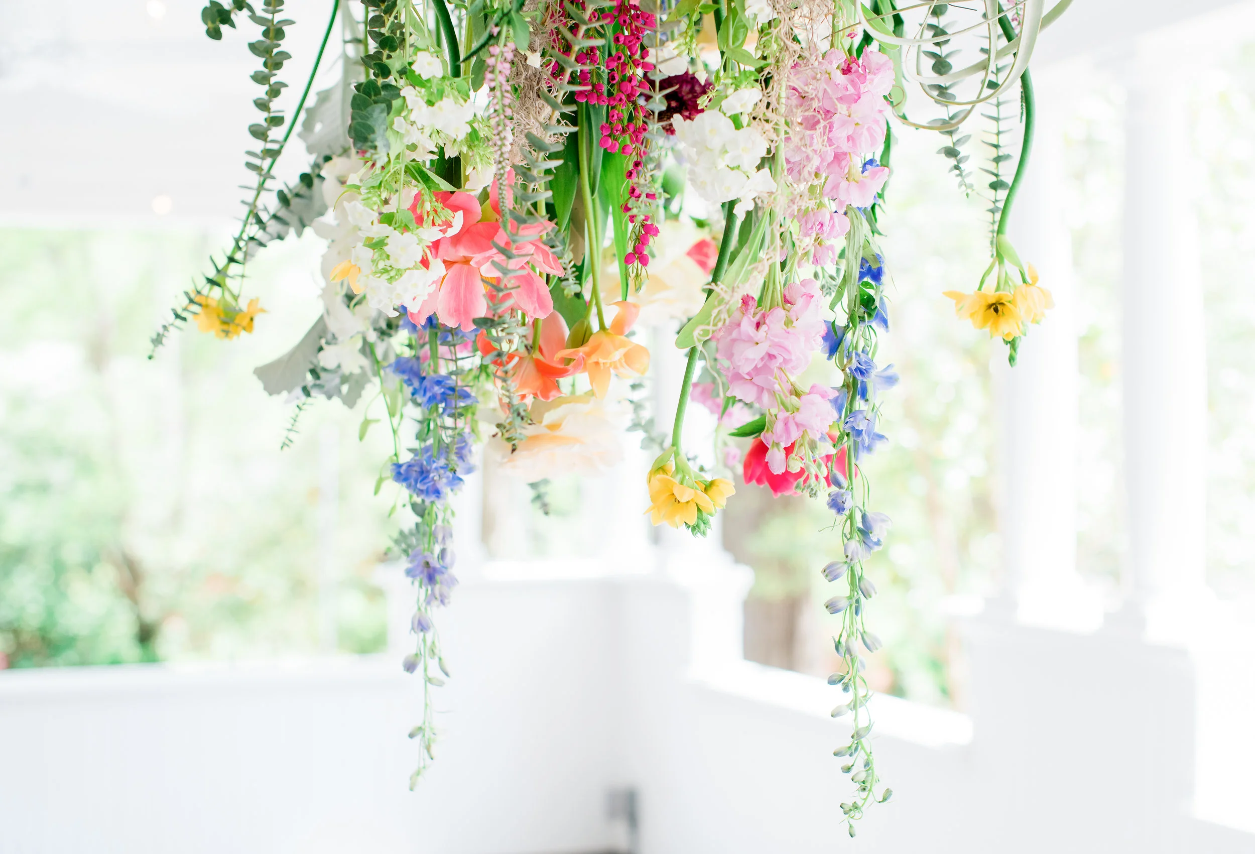 DSC_7623-Edit - Copy.JPG