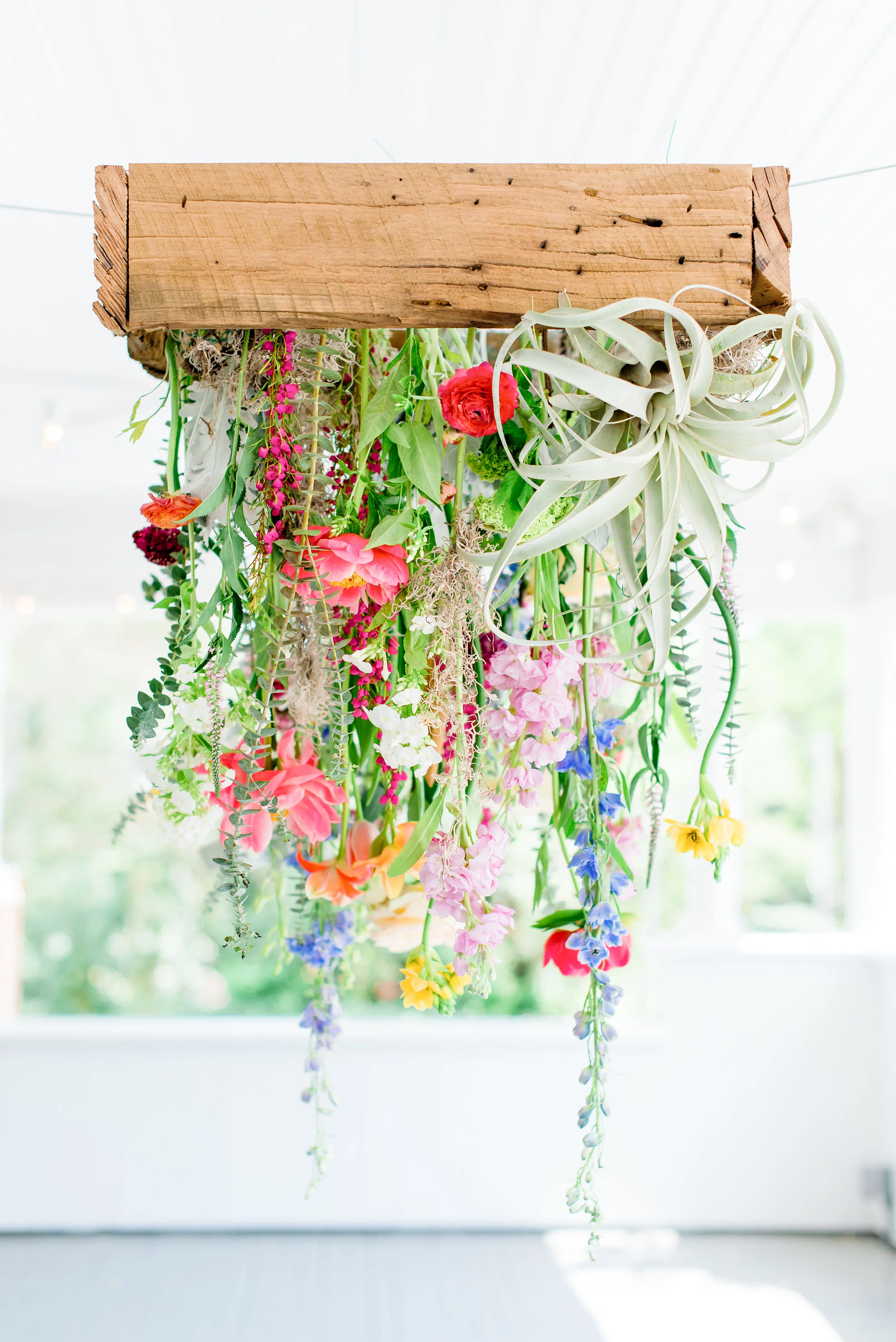 DSC_7638-Edit - Copy.JPG